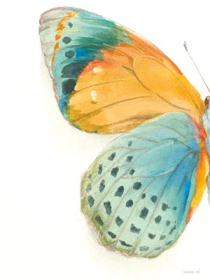 Fragile Wings Is