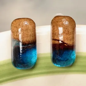 Handmade Blue and Brown Apricot Wood Oblong Button Earrings - Little Spell | NOVICA