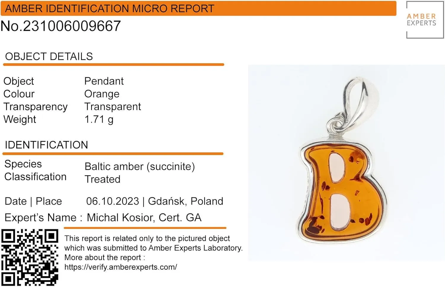 HolidayGiftShops Sterling Silver and Baltic Amber A-Z Initial Pendant Necklace