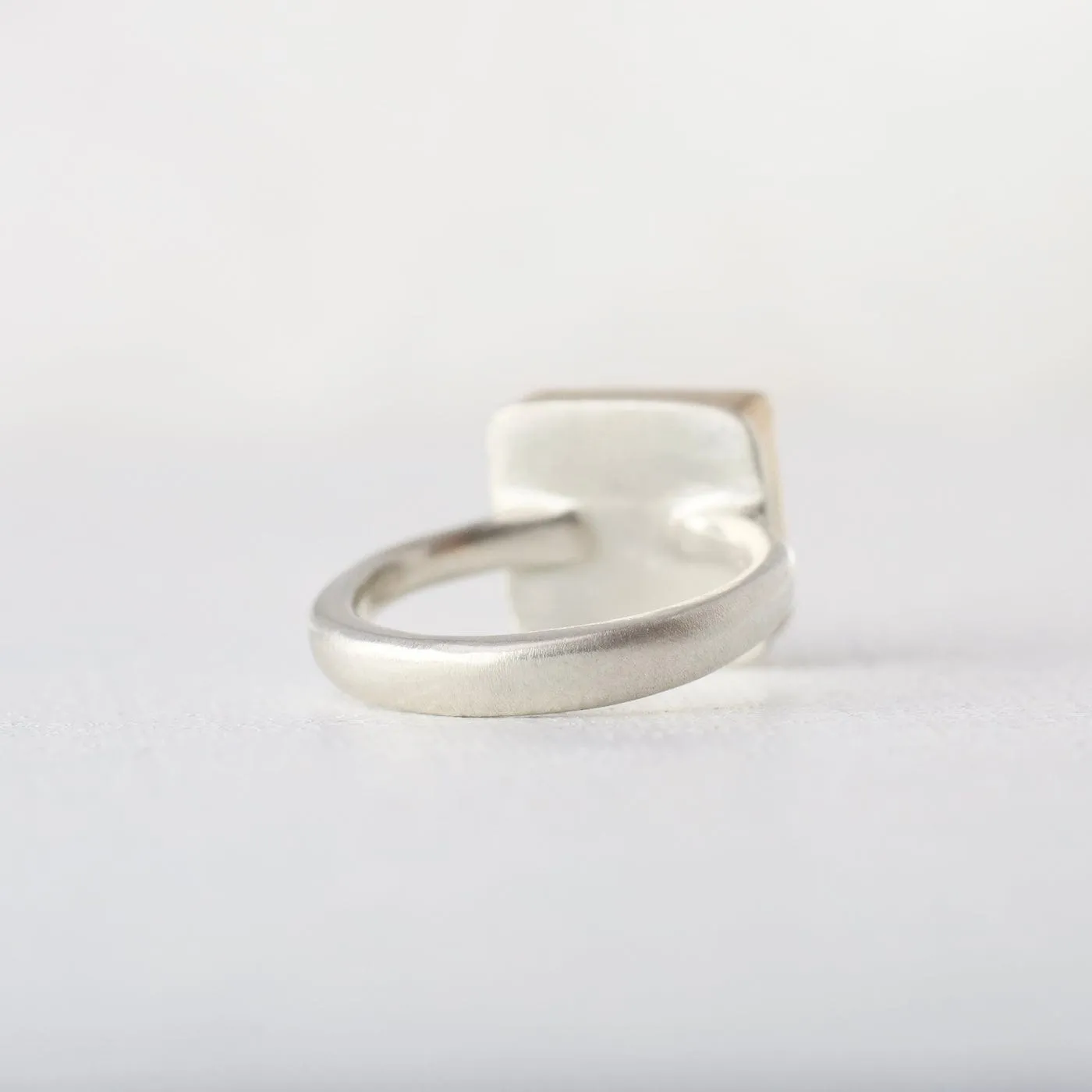 Jamie Joseph Ring with Small Rectangular Scrimshaw Meteorite