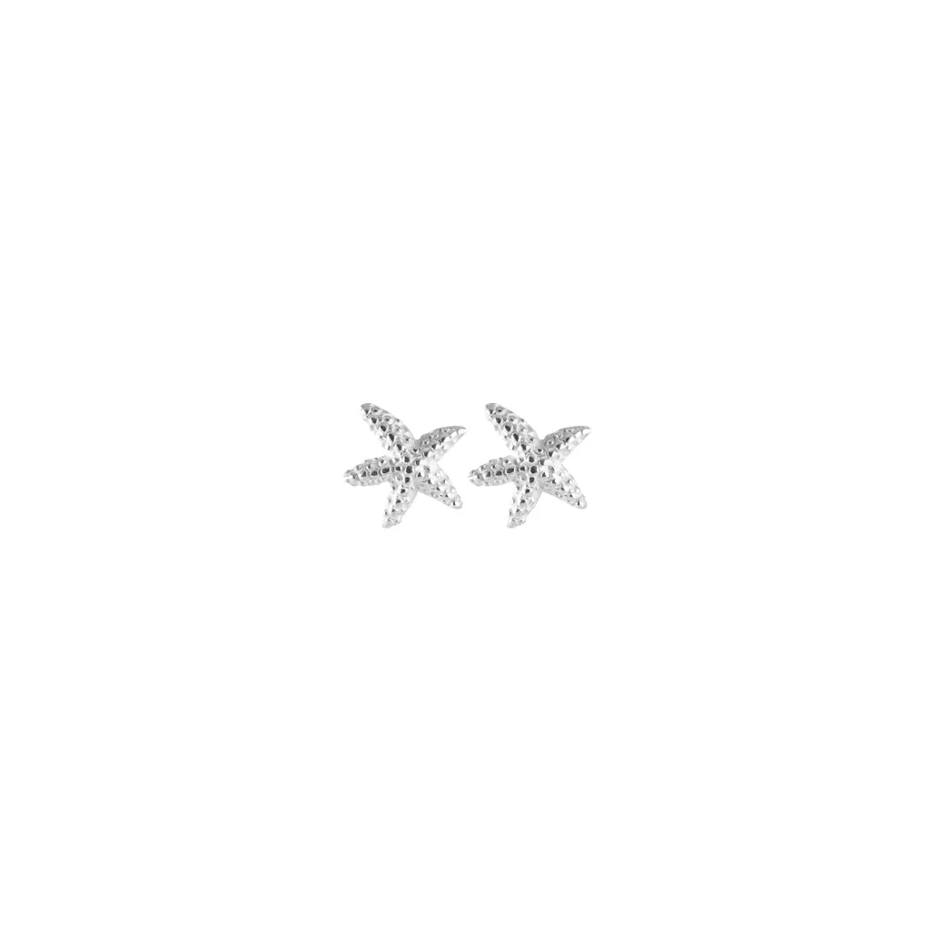 Silver Starfish Stud Earrings